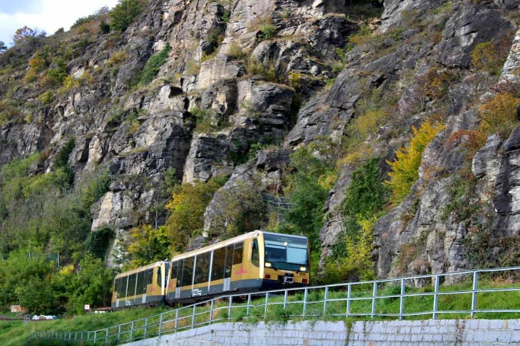 Haus-Donau In Der Wachau Apartment Aggsbach ภายนอก รูปภาพ