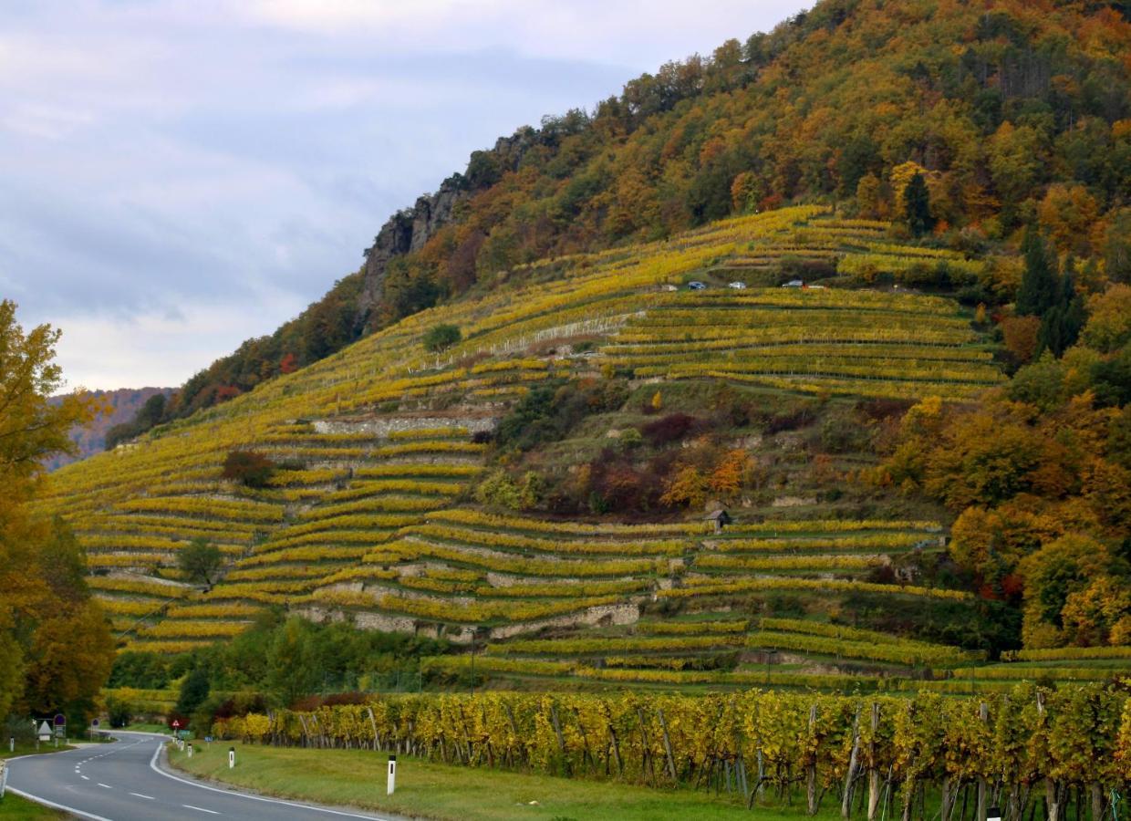 Haus-Donau In Der Wachau Apartment Aggsbach ภายนอก รูปภาพ