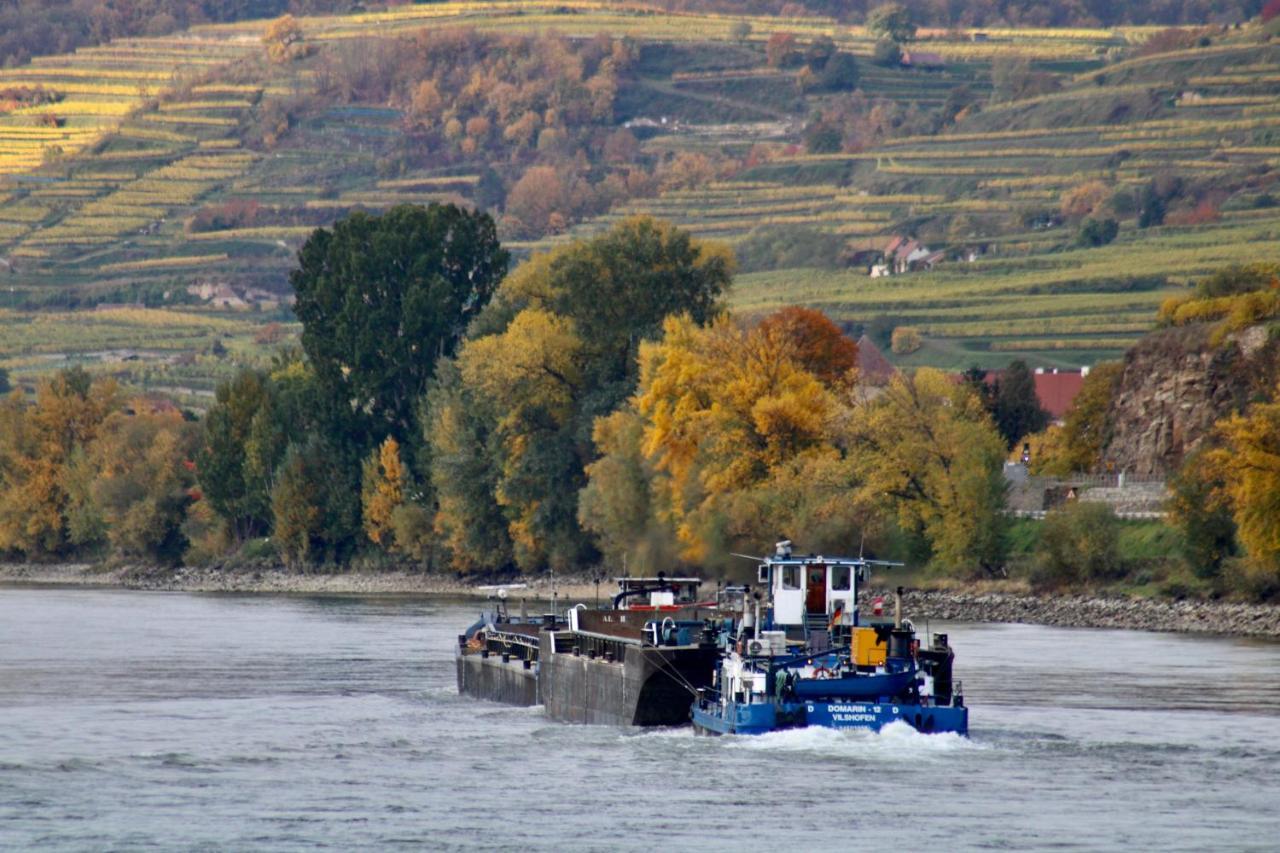 Haus-Donau In Der Wachau Apartment Aggsbach ภายนอก รูปภาพ