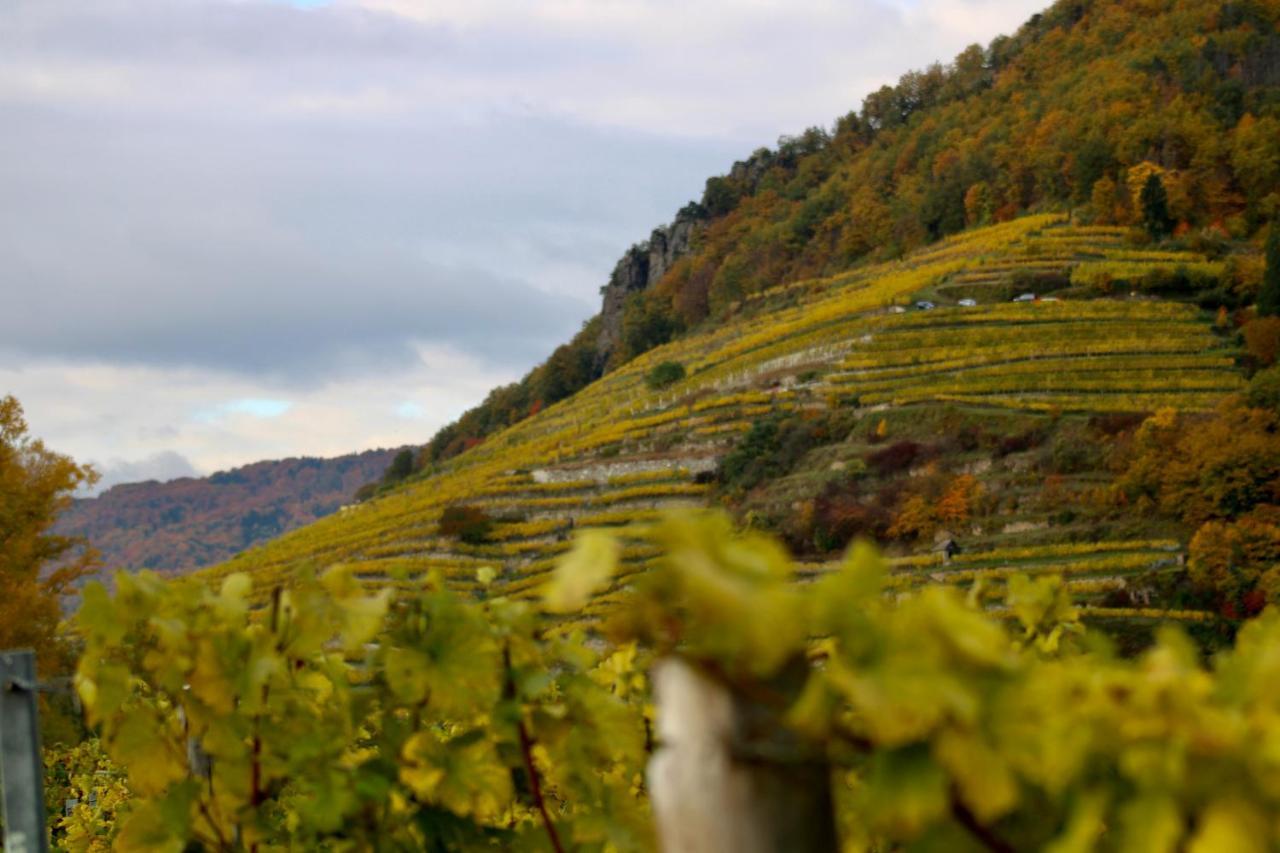 Haus-Donau In Der Wachau Apartment Aggsbach ภายนอก รูปภาพ