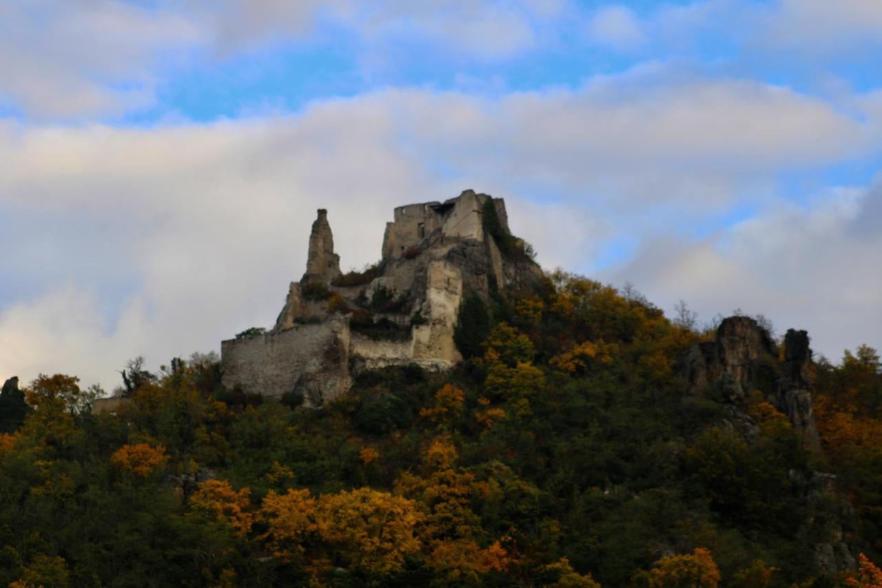 Haus-Donau In Der Wachau Apartment Aggsbach ภายนอก รูปภาพ