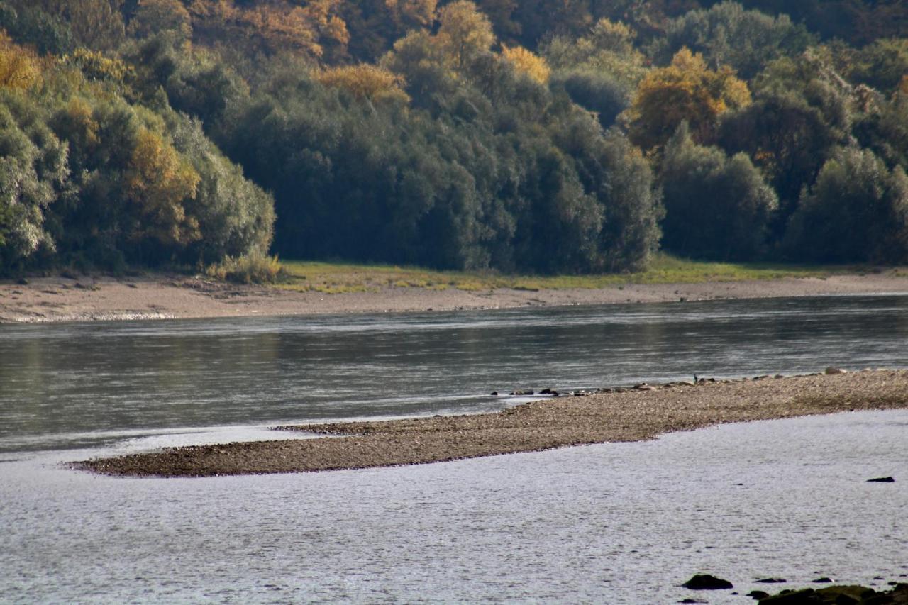 Haus-Donau In Der Wachau Apartment Aggsbach ภายนอก รูปภาพ