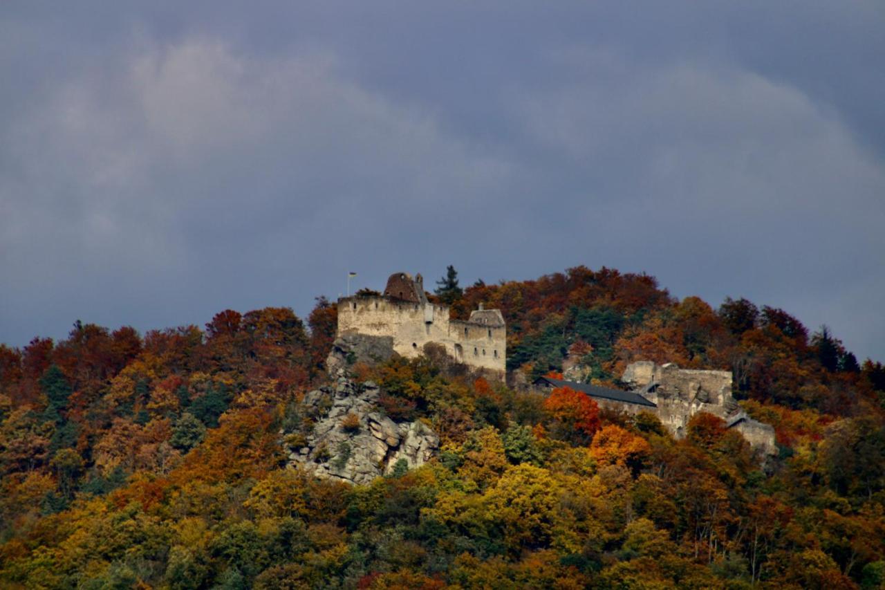 Haus-Donau In Der Wachau Apartment Aggsbach ภายนอก รูปภาพ